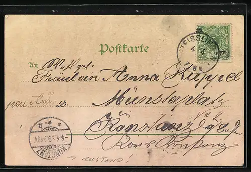 Lithographie Steisslingen, Teilansicht, Schloss, Rathaus