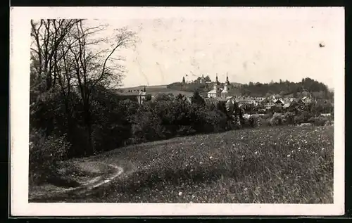 AK Zamberk, Panoramablick über die Wiese auf den Ort