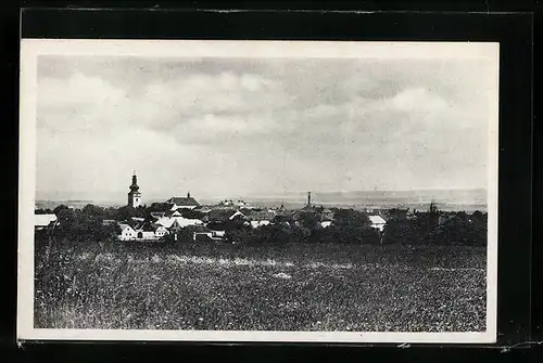 AK Golc. Jenikov, Celkovy Pohled