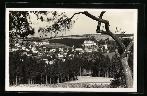 AK Ledec n. Sáz., Celkovy pohled