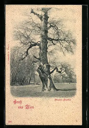 Künstler-AK Wien, Prater-Partie