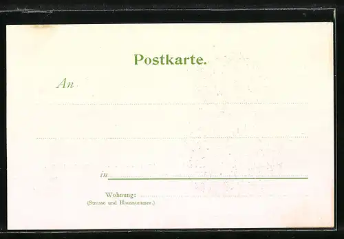 Lithographie Portrait des Physikers Hermann von helmholtz