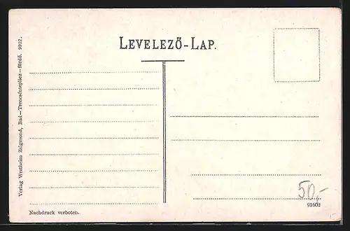 AK Trencsen, Uferpartie mit Brücke und Blick zum Ort