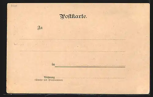 Lithographie Gochsheim, Teilansicht, Altes Schloss, Strassenpartie