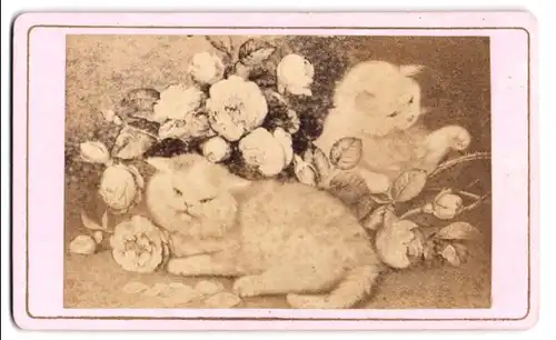 Fotografie unbekannter Fotograf und Ort, zwei weisse Katzen spielen mit Rosen, nach einem Gemälde