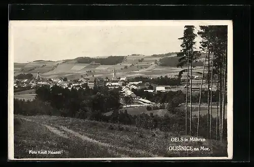 AK Olesnice na Mor., Panorama