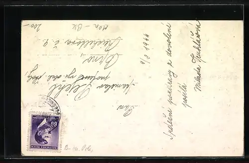 AK Olesnice na Mor., Panorama