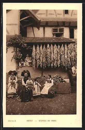 AK Hoerdt, Sechage du Tabac