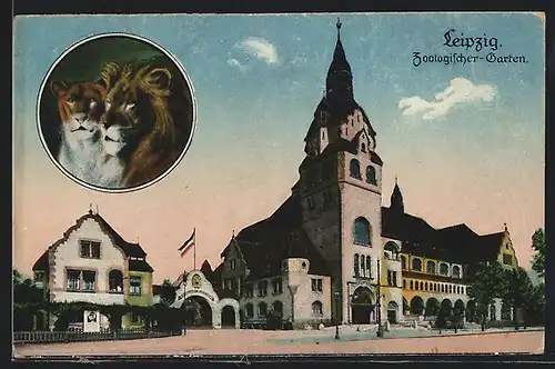 AK Leipzig, Zoologischer-Garten, Löwe und Löwin
