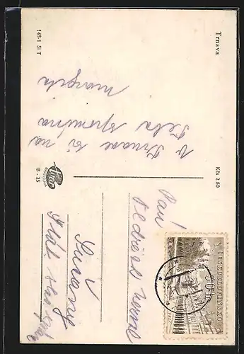 AK Trnava, Denkmal vor der Kirche