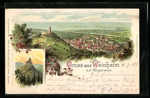 Lithographie Weinheim a. d. Bergstrasse, Gesamtansicht, Ortspartie