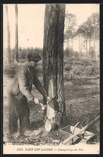 AK Dans les Landes, Cramponnage des Pins, Forstwirtschaft