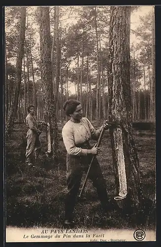 AK Les Landes, Le Gemmage du Pin dans la Forêt, Forstwirtschaft