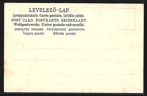 Lithographie Briefmarken und Wappen von Ungarn