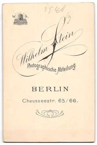 Fotografie Wilhelm Stein, Berlin, Chausseestr. 65 /66, Attraktive junge Frau mit eleganter Frisur und offenem Blick