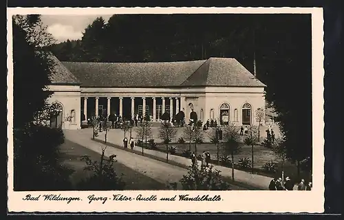 AK Bad Wildungen, Georg-ViktorQuelle und Wandelhalle