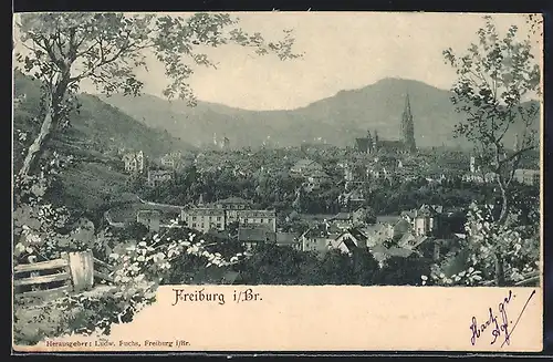 AK Freiburg i. Br., Gesamtansicht