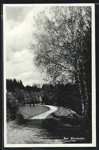 AK Bad Wörishofen, Partie im Wald