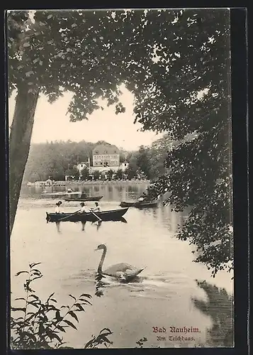 AK Bad Nauheim, Seepartie am Teichhaus