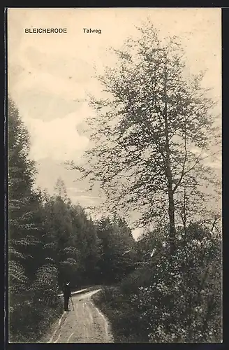 AK Bleicherode, Talweg im Wald