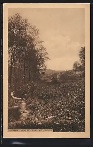 AK Bleicherode, Partie im Bleichtal am Bleichbach