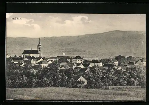 AK Prcice, Panoramablick auf die Ortschaft