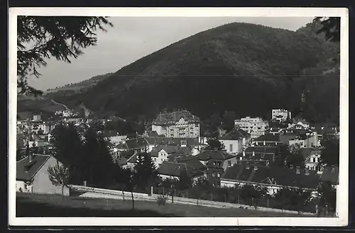 AK Trenc, Teplice, Panorama