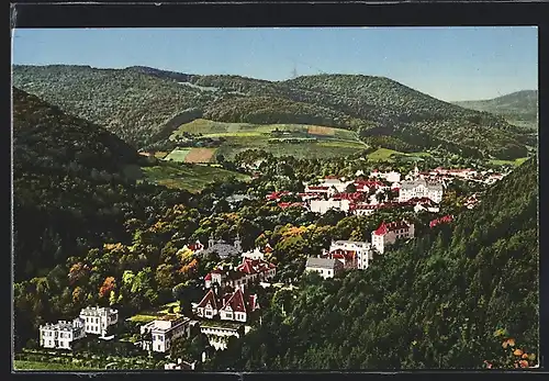 AK Trencenteplic, Blick von oben auf die Perle der Karpaten