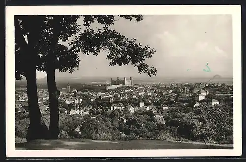 AK Bratislava, Panorama mit Burg