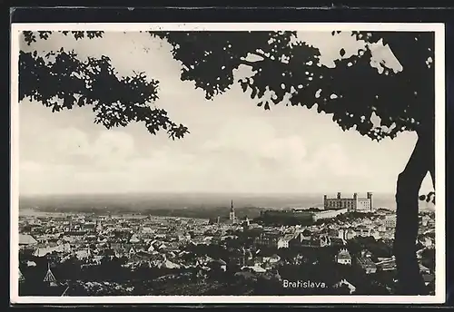 AK Bratislava, Panorama mit Burg