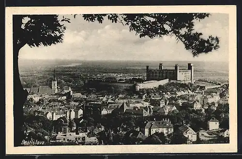AK Bratislava, Panorama mit Burg