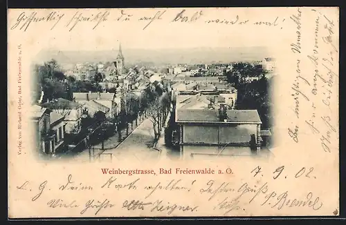 AK Bad Freienwalde a. O., Strassenpartie aus der Vogelschau