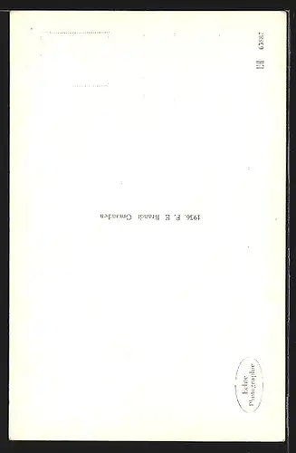 AK Plomberg a. Mondsee, Ortsansicht mit Drachenwand