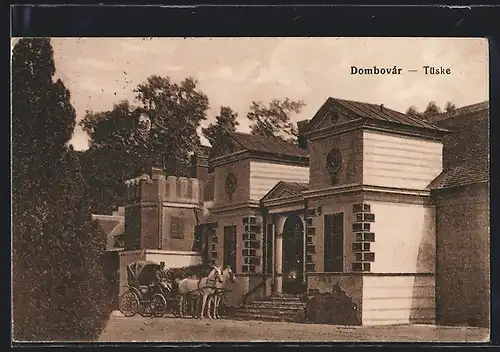 AK Dombovár, Tüske