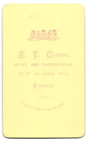 Fotografie E. T. Gibbs, Stroud, 18-19 George Street, Attraktiver Herr mit Bart und charmantem Gesicht