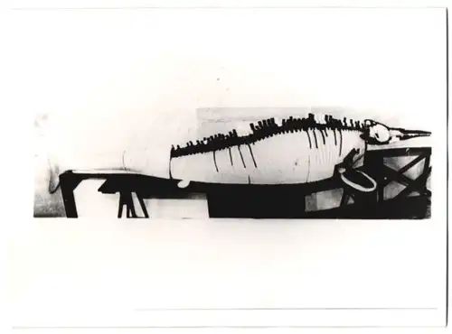 Fotografie unbekannter Fotograf, Ansicht Salzgitter, ausgegrabenes Ichtyosauraus Skelett aus dem Schacht Georg, 1941