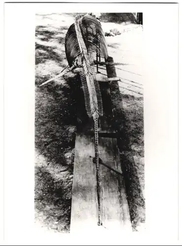 Fotografie unbekannter Fotograf, Ansicht Salzgitter-Gitter, Ichtyosaurus Skelett aus der Schachtanlage Georg, 1941