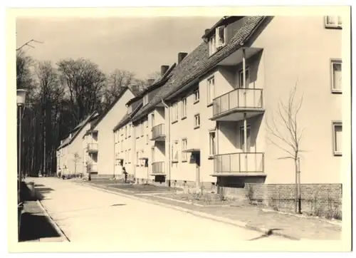 Fotografie unbekannter Fotograf, Ansicht Salzgitter-Gebhardshagen, Strassenpartie in der Neubausiedlung Gebhardshagen