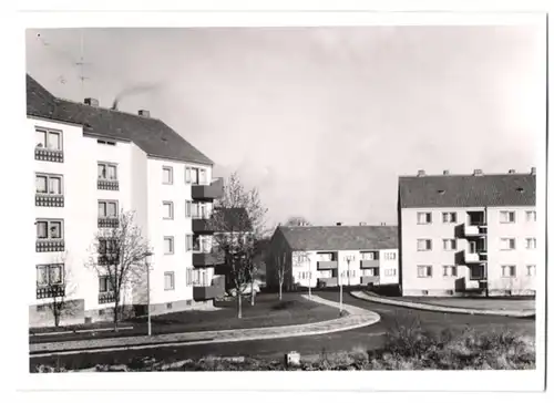 Fotografie unbekannter Fotograf, Ansicht Salzgitter-Gebhardshagen, Sternbergviertel in der Neubausiedlung Gebhardshagen