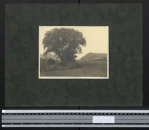 Fotografie Georg Friedrich Leonhardt, Stuttgart, Landschafts-Panorama in Schwaben 1925