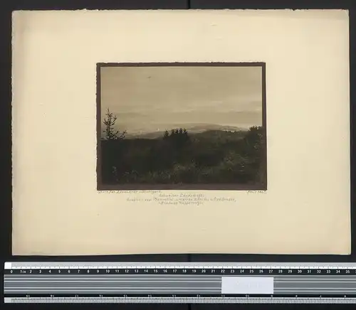 Fotografie Georg Friedrich Leonhardt, Stuttgart, Ansicht Rapperswil, Blick vom Pfannstiel zwischen Zürich & Greifensee