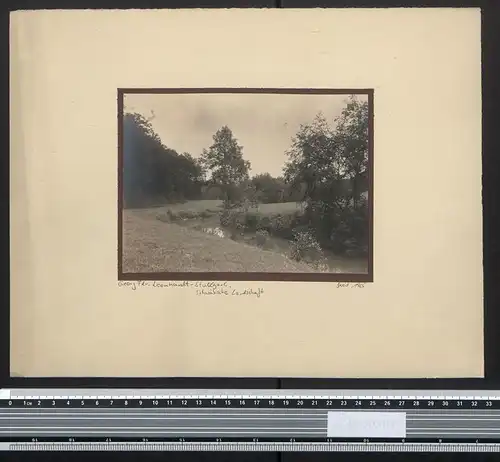 Fotografie Georg Friedrich Leonhardt, Stuttgart, Schwäbische Landschaft 1925, gepflegter Naturpark mit Wasserlauf