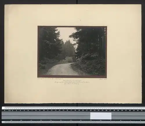Fotografie Georg Friedrich Leonhardt, Stuttgart, Ansicht Eschelhof über Sulzbach / Murr, Idyllischer Waldweg um 1925