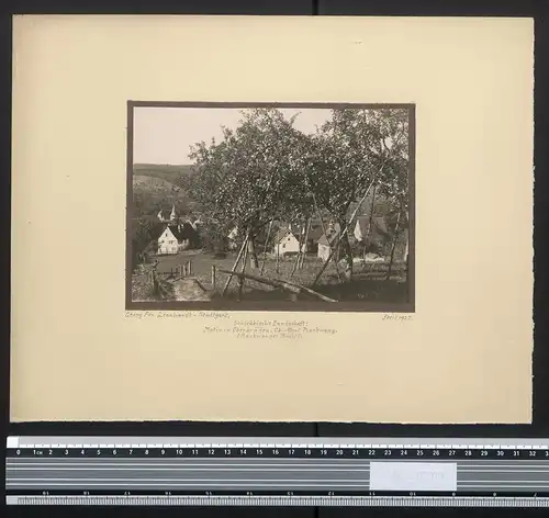 Fotografie Georg Friedrich Leonhardt, Stuttgart, Ansicht Oberbrüden / Weissachgrund, Obstbäume am Ortsrand 1925