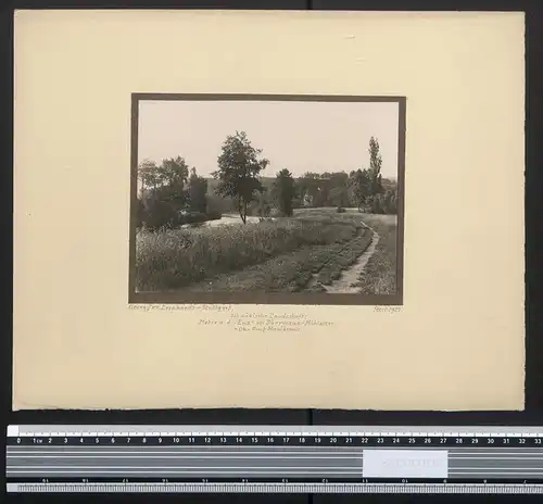 Fotografie Georg Friedrich Leonhardt, Stuttgart, Ansicht Dürrmenz-Mühlacker, Uferpartie an der Enz 1921