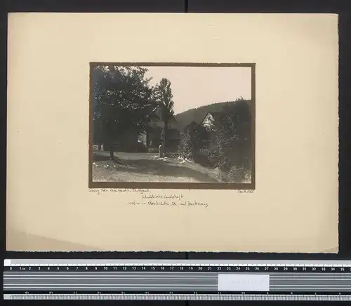 Fotografie Georg Friedrich Leonhardt, Stuttgart, Ansicht Oberbrüden, Bäuerin nebst Gänsen am Gehöft 1925