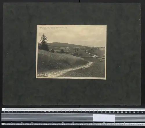 Fotografie Georg Friedrich Leonhardt, Stuttgart, Fautsbach im Gelände vom Ursprung der Murr um 1924