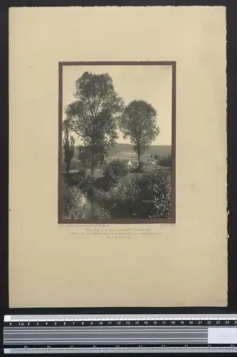 Fotografie Georg Friedrich Leonhardt, Stuttgart, Ansicht Bartenbach-Schleisweiler, Gewässer in den Wiesen bei Sulzbach
