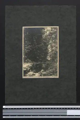 Fotografie Georg Friedrich Leonhardt, Stuttgart, Ansicht Welzheim, Bachlauf im Welzheimer Forst 1924