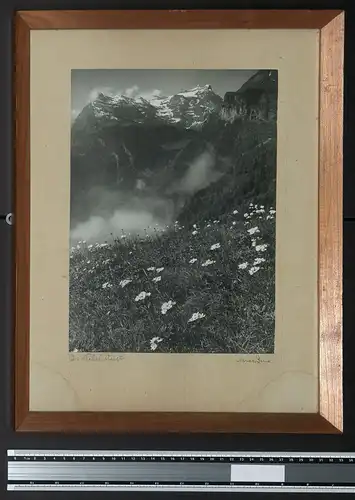 Fotografie Max Bauer, Bild der Nebel steigt Passepartout in Holzrahmen gerahmt, handschriftliche Unterschrift